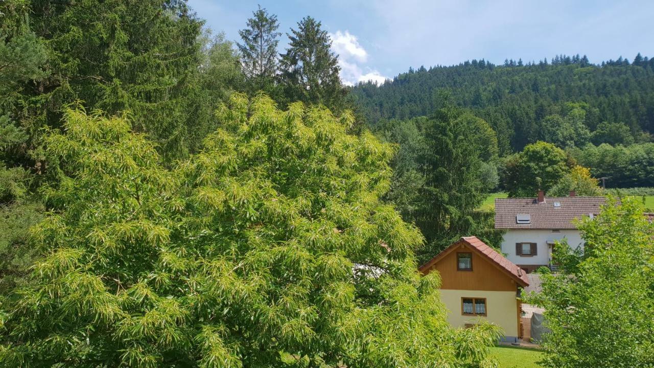 Silberkoenig Schwarzwald Hotel & Restaurant Ringhotel Gutach im Breisgau Kültér fotó