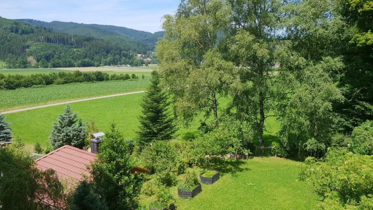 Silberkoenig Schwarzwald Hotel & Restaurant Ringhotel Gutach im Breisgau Kültér fotó